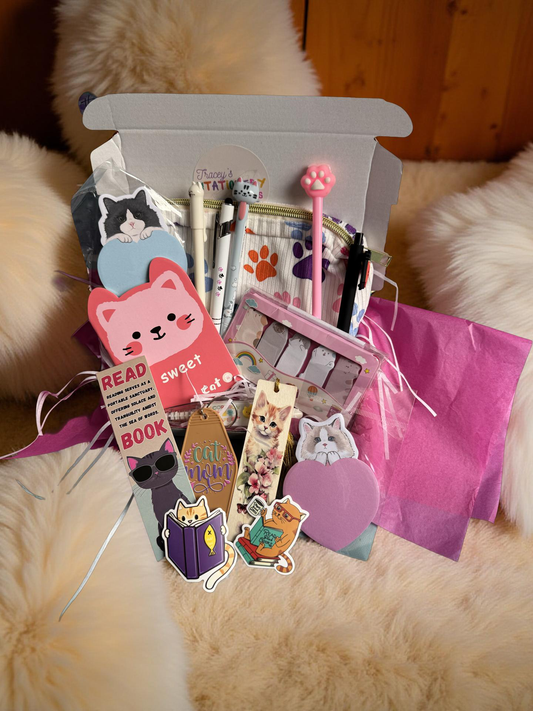 Cute kitten box